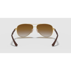 Ray-Ban 8313 001 51