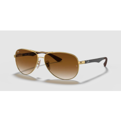 Ray-Ban 8313 001 51