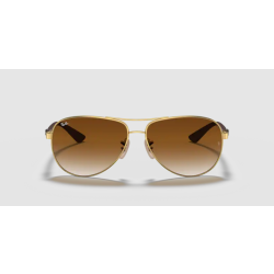 Ray-Ban 8313 001 51