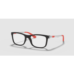 Ray- Ban 1549 3652