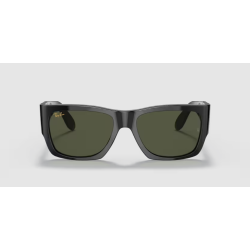 Ray- Ban 2187 901/31